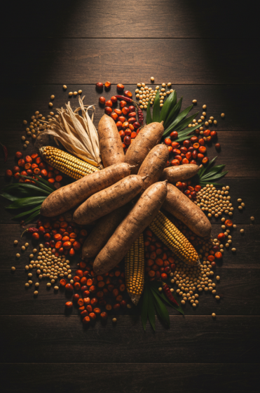 Produits agricoles illustrant la production et la commercialisation de SARA SARL
