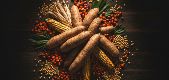 Produits agricoles illustrant la production et la commercialisation de SARA SARL