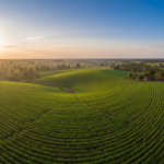 Paysage agricole illustrant la production et la valorisation des ressources