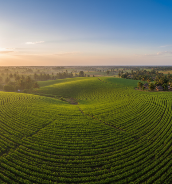 Paysage agricole illustrant la production et la valorisation des ressources